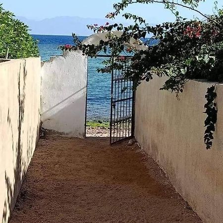 Sea Breeze Beach Studio Дахаб Экстерьер фото