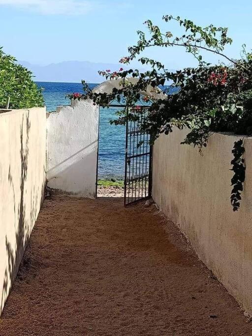 Sea Breeze Beach Studio Дахаб Экстерьер фото